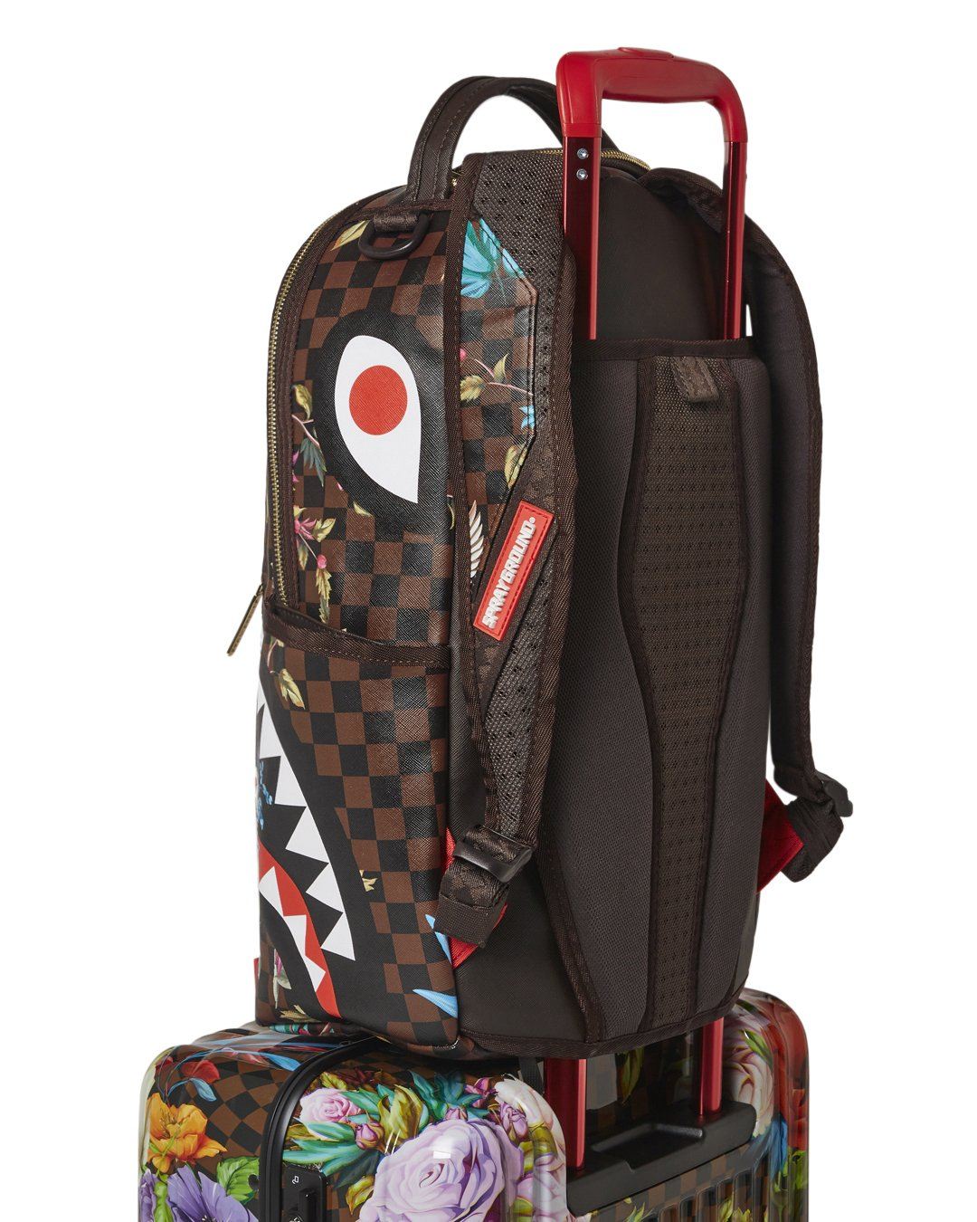 Thumbnail 12